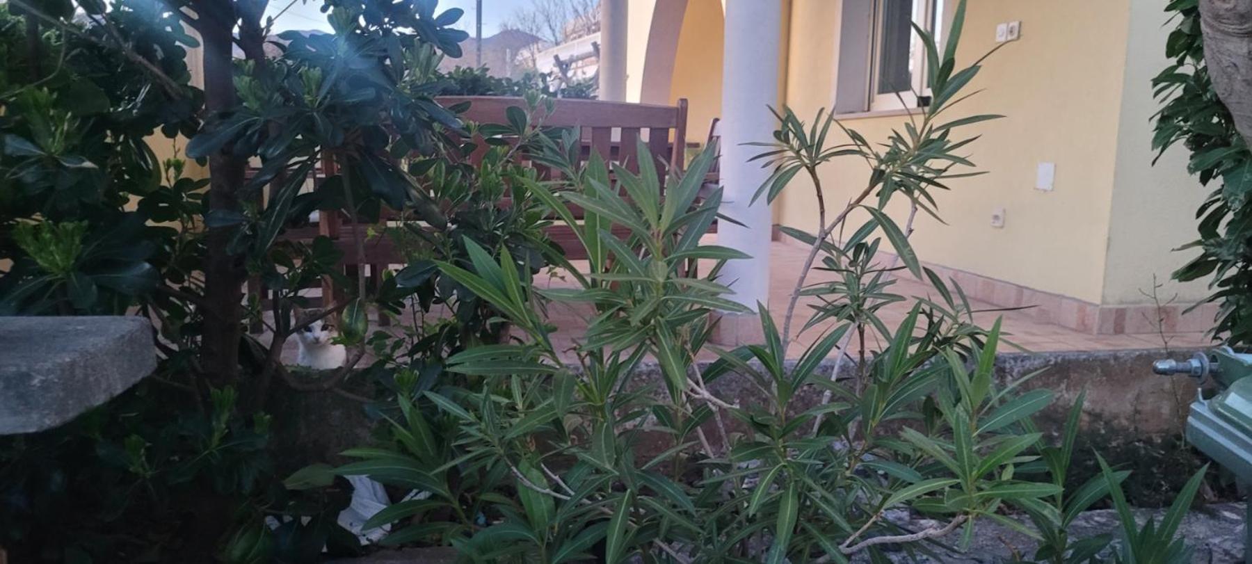 Apartman Sanja