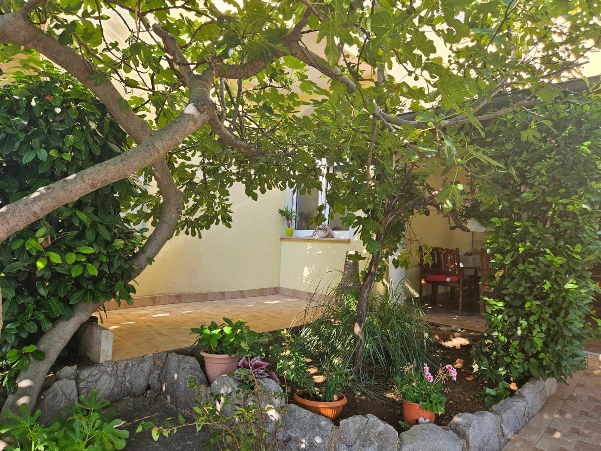 Apartment Sanja Klenovica